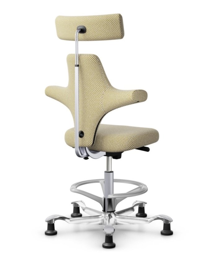 Ergonomická kancelářská židle CAPISCO 8127