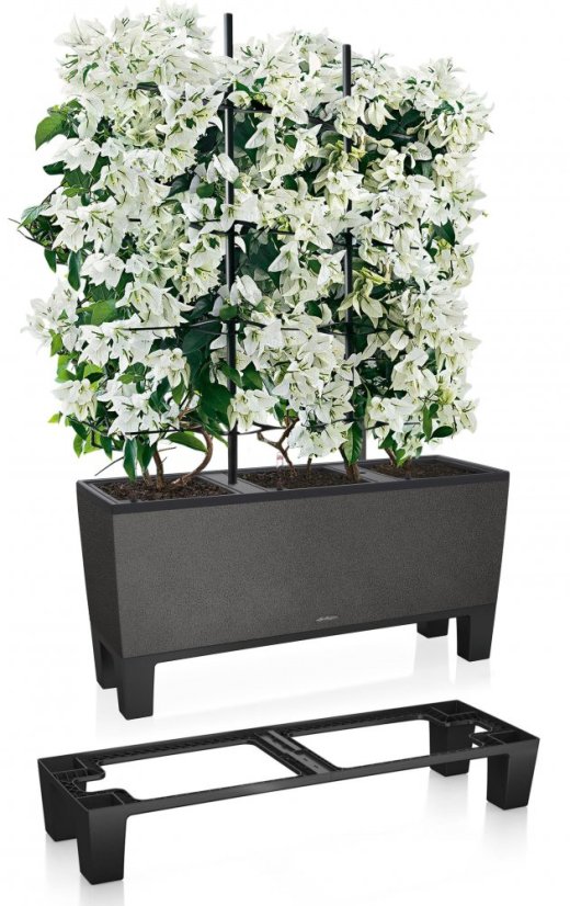 Lechuza TRIO STONE 30 květináč samozavlažovací Šedá kompletní set