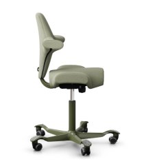 Ergonomická kancelářská židle CAPISCO 8106