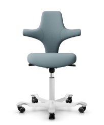 Ergonomická kancelářská židle CAPISCO 8126