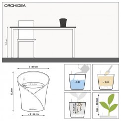 Lechuza ORCHIDEA - Samozavlažovací květináč - Antracitová - Kompletní set