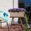 Samozavlažovací truhlík Lechuza BALCONERA STONE 50 písková béžová kompletní set
