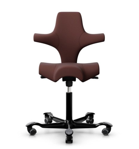 Ergonomická kancelářská židle CAPISCO 8106