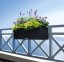 Samozavlažovací truhlík Lechuza BALCONERA COTTAGE 50 černá kompletní set