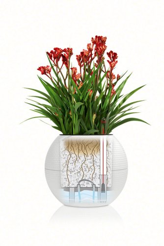 Lechuza PURO COLOR 20 samozavlažovací květináč antracitová kompletní set