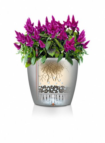 Lechuza CLASSICO 28 samozavlažovací květináč stříbrná kompletní set