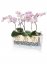 Lechuza DELTA 10 samozavlažovací květináč antracitová kompletní set