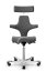 Ergonomická kancelářská židle CAPISCO 8107 - Provedení podnože Capisco 8107- bez příplatku: blush rose podnož CAPISCO 8107