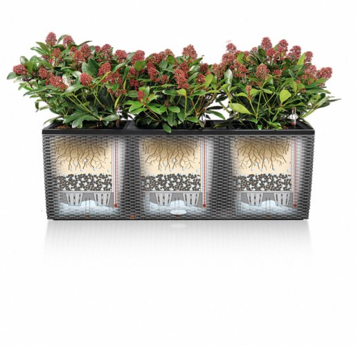 Lechuza TRIO COTTAGE 40 květináč samozavlažovací granitová kompletní set