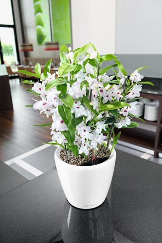 Lechuza CLASSICO LS 28 samozavlažovací květináč bílá kompletní set