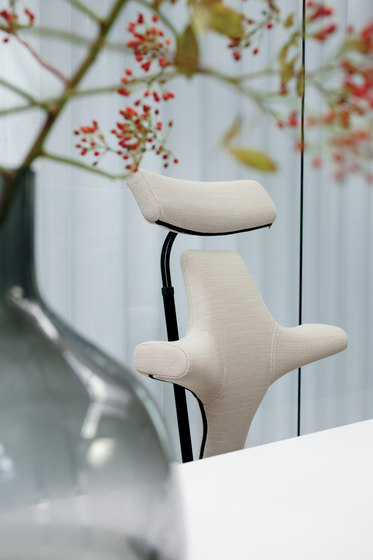 Ergonomická kancelářská židle CAPISCO 8127