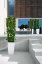 Lechuza CUBICO COTTAGE 30 samozavlažovací květináč šedá kompletní set