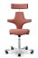 Ergonomická kancelářská židle CAPISCO 8127 - Provedení podnože Capisco 8127- bez příplatku: moos grey podnož CAPISCO 8127