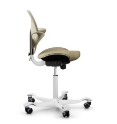 Ergonomická kancelářská židle CAPISCO PULS 8020