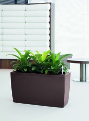 Lechuza CARARO PREMIUM 75 samozavlažovací květináč espresso kompletní set