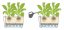 Lechuza CARARO 75 samozavlažovací květináč hnědá kompletní set