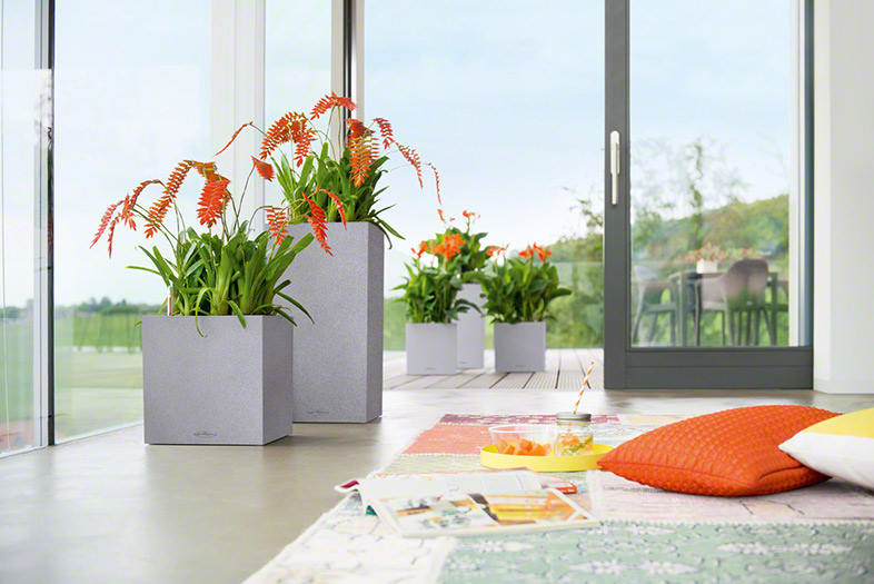 Lechuza CANTO STONE SQUARE 30 samozavlažovací květináč šedá kompletní set
