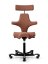 Ergonomická kancelářská židle CAPISCO 8107 - Provedení podnože Capisco 8107- bez příplatku: blush rose podnož CAPISCO 8107