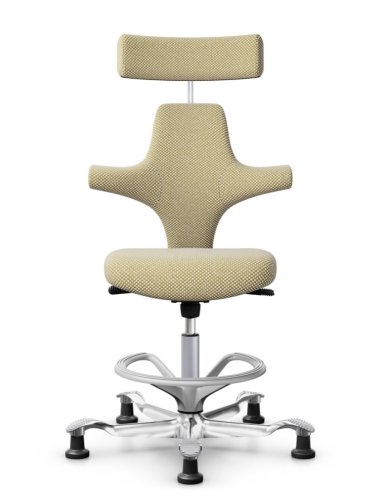 Ergonomická kancelářská židle CAPISCO 8127 - Provedení podnože Capisco 8127- bez příplatku: moos grey podnož CAPISCO 8127