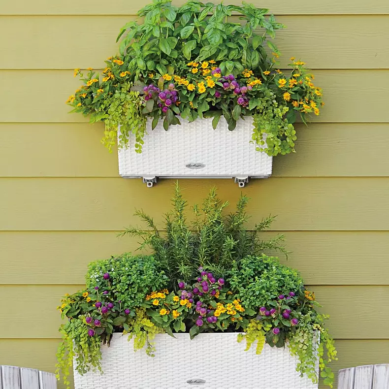 Samozavlažovací truhlík Lechuza BALCONERA COTTAGE 100 mokka kompletní set