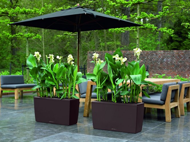 Lechuza CARARO PREMIUM 75 samozavlažovací květináč espresso kompletní set