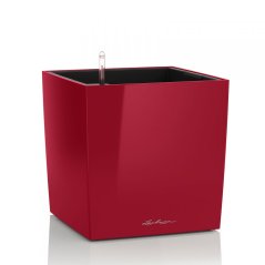 Lechuza CUBE 50 samozavlažovací květináč červená kompletní set