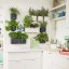 Lechuza CUBE GLOSSY GREEN WALL HOME WALL KIT samozavlažovací květináč scarlet kompletní set