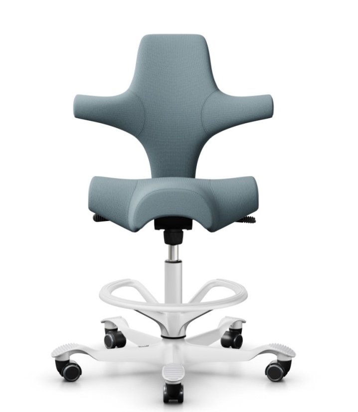 Ergonomická kancelářská židle CAPISCO 8106