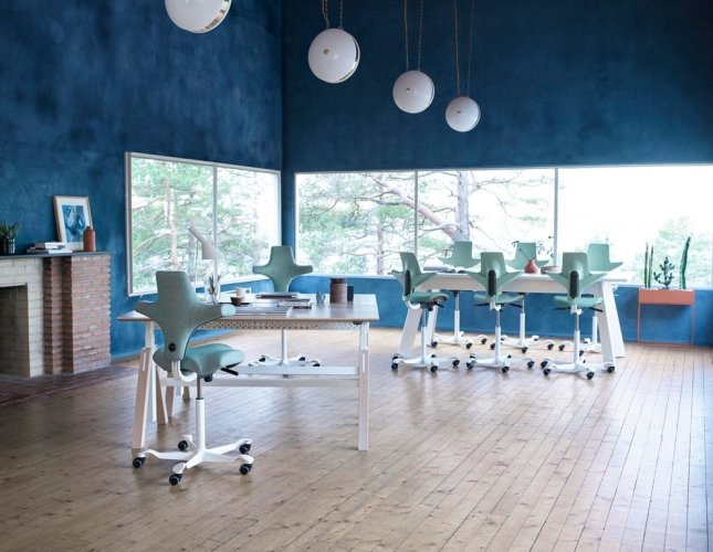 Ergonomická kancelářská židle CAPISCO PULS 8020