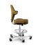 Ergonomická kancelářská židle CAPISCO 8106