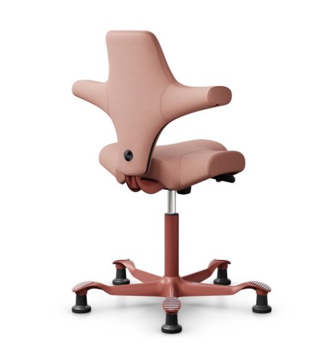 Ergonomická kancelářská židle CAPISCO 8106