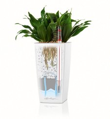 Lechuza MINI CUBI samozavlažovací květináč espresso kompletní set