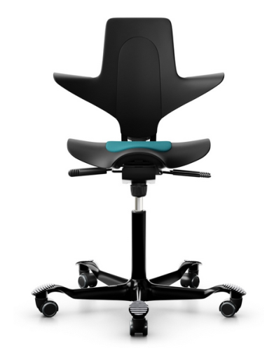 Ergonomická kancelářská židle CAPISCO PULS 8010 - Provedení podnože Capisco Puls 8010- bez příplatku: moos grey podnož CAPISCO PULS 8010