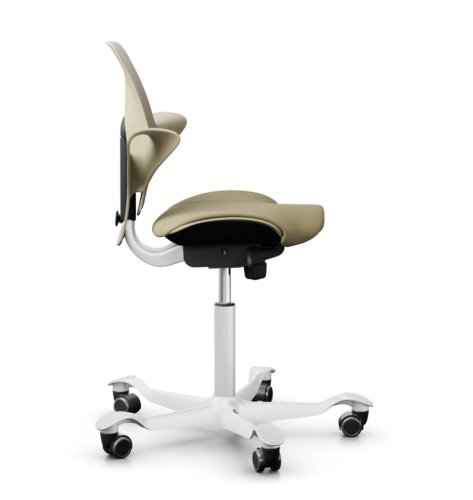 Ergonomická kancelářská židle CAPISCO PULS 8020