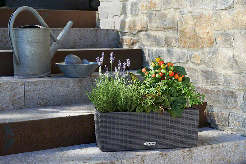 Samozavlažovací truhlík Lechuza BALCONERA COTTAGE 50 antracitová kompletní set