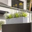Samozavlažovací truhlík Lechuza BALCONERA STONE 40 grafitová kompletní set