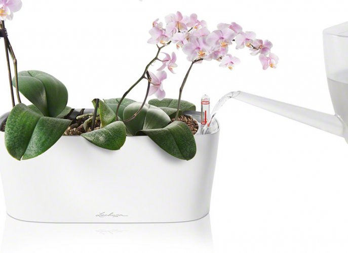 Lechuza DELTA 10 samozavlažovací květináč bílá kompletní set