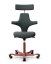 Ergonomická kancelářská židle CAPISCO 8127 - Provedení podnože Capisco 8127- bez příplatku: moos grey podnož CAPISCO 8127