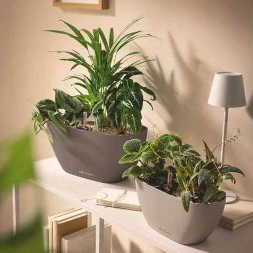 NAVIO Color 20 Písková hnědá