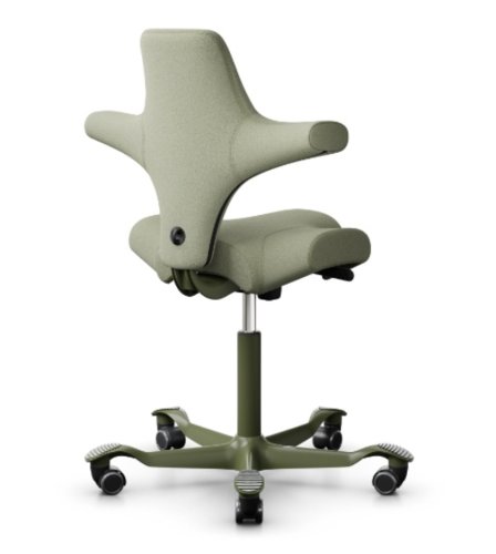 Ergonomická kancelářská židle CAPISCO 8106
