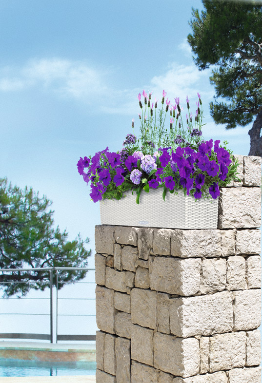 Samozavlažovací truhlík Lechuza BALCONERA COTTAGE 80 bílá kompletní set