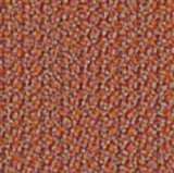 CPT4301 Coral