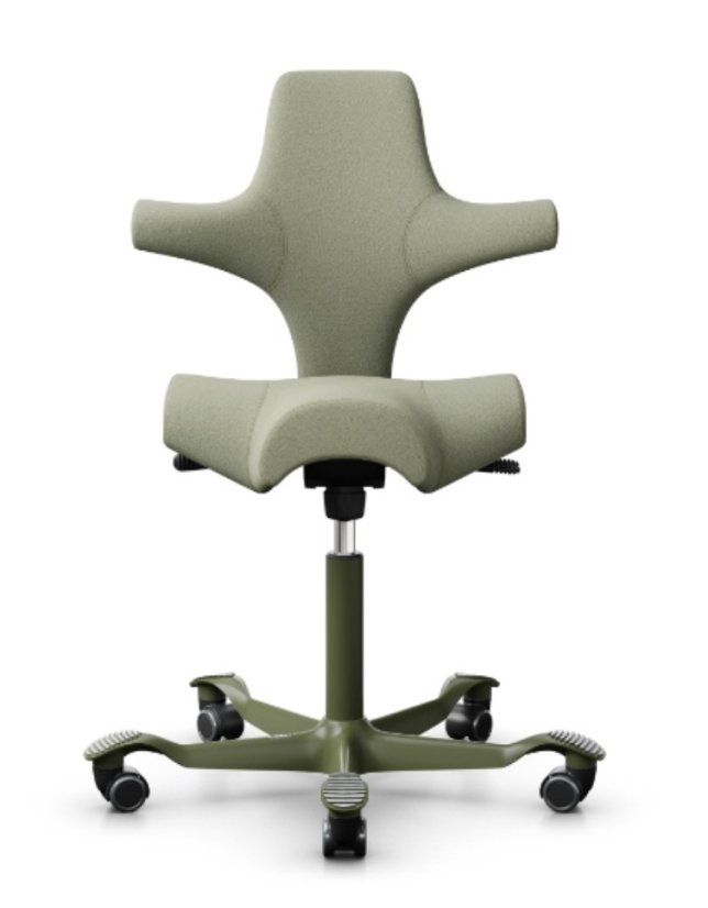Ergonomická kancelářská židle CAPISCO 8106