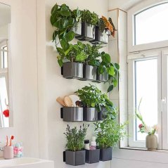 Lechuza CUBE GLOSSY GREEN WALL HOME WALL KIT samozavlažovací květináč antracit kompletní set