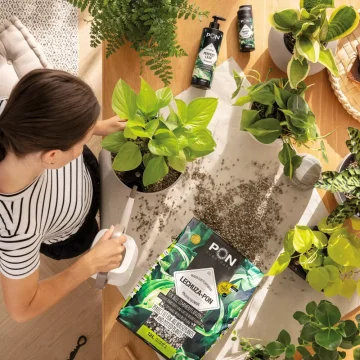 LECHUZA PŘÍSLUŠENSTVÍ - Materiál - Plast lakovaný