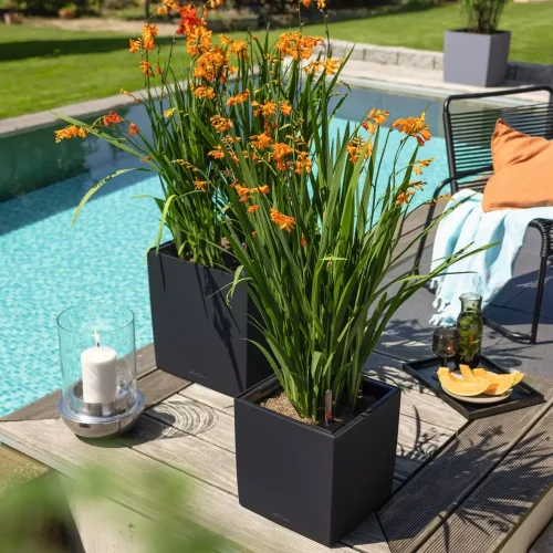 Lechuza CUBE Color 30 samozavlažovací květináč bílá kompletní set