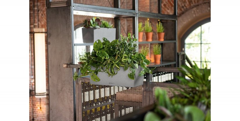 Samozavlažovací truhlík Lechuza BALCONERA STONE 50 šedý kompletní set