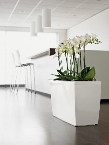 Lechuza CARARO 75 samozavlažovací květináč bílá kompletní set