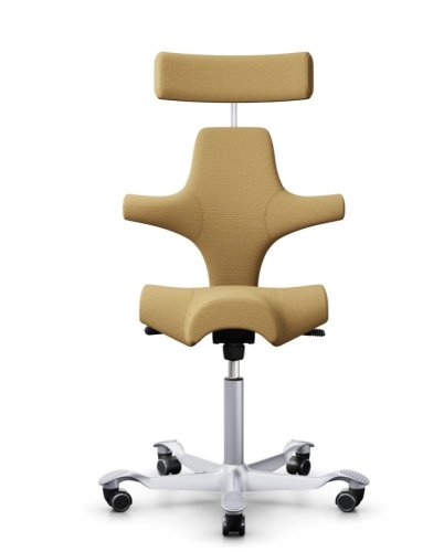 Ergonomická kancelářská židle CAPISCO 8107 - Provedení podnože Capisco 8107- bez příplatku: blush rose podnož CAPISCO 8107