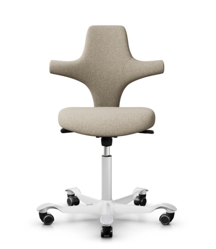 Ergonomická kancelářská židle CAPISCO 8126